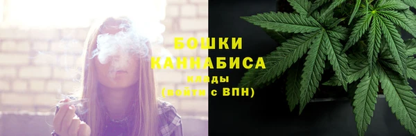 твердый Богородицк