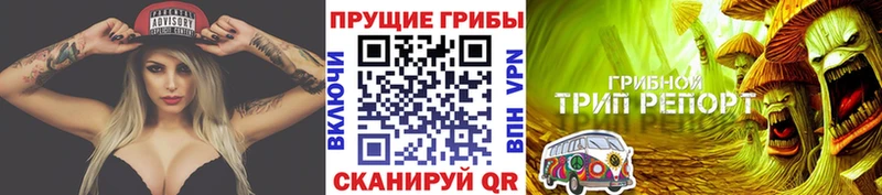 купить shop телеграм Галлюциногенные грибы Cubensis Барыш
